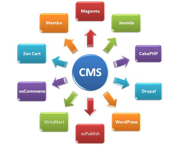 what-is-cms